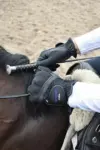 performa ride horse riding glove black 1