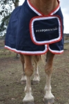 performa ride trophy rug front