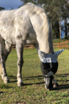 horse fly veil with ears nose front performa ride